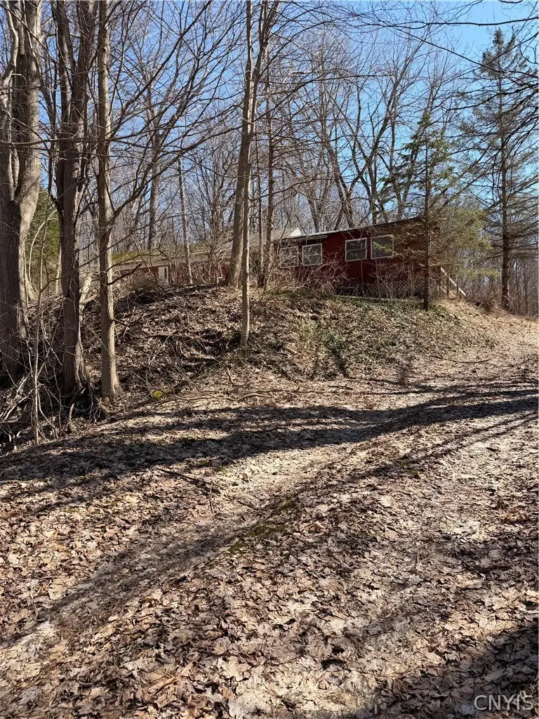 1036 Peru Road, Jordan, NY 13080 - #3