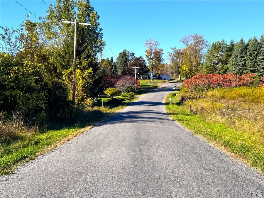 Graffenburg Road, Frankfort, NY 13340 - #3
