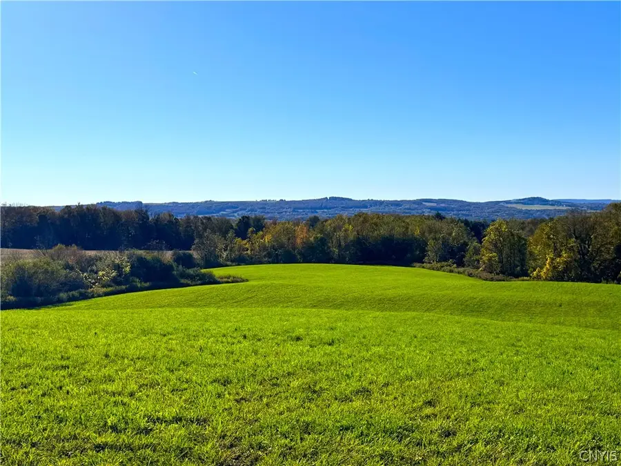 Graffenburg Road, Frankfort, NY 13340 - #3