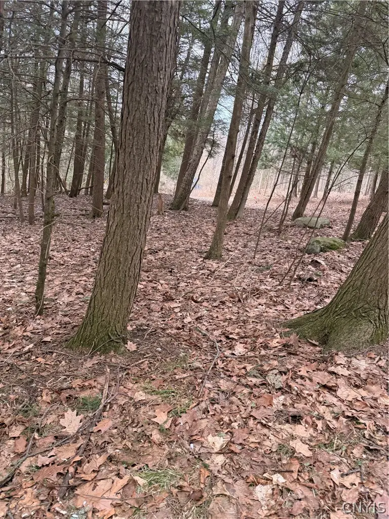 30525 Conklin Dr S, Chaumont, NY 13622 - #2