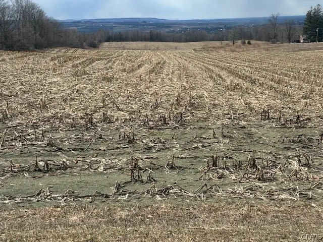 Skyline Drive, Kirkland, NY 13323 - #1