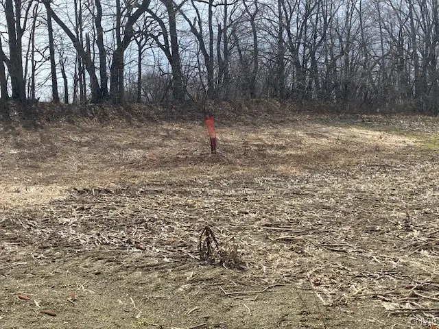 Skyline Drive, Kirkland, NY 13323 - #2