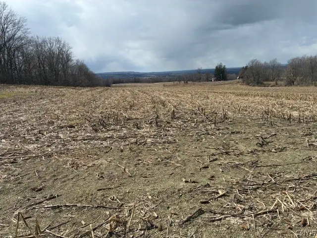 Skyline Drive, Kirkland, NY 13323 - #3