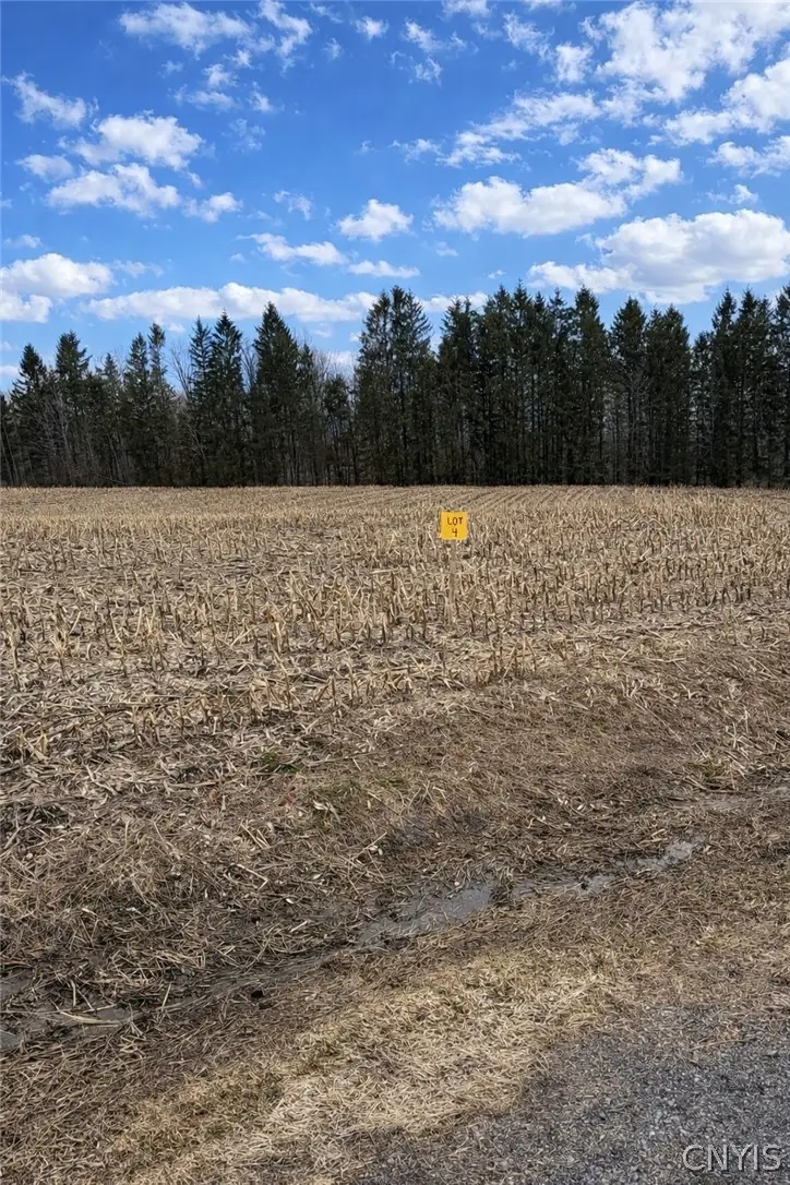 00 Skinner Lot 5 Road, Richfield Springs, NY 13439 - #1