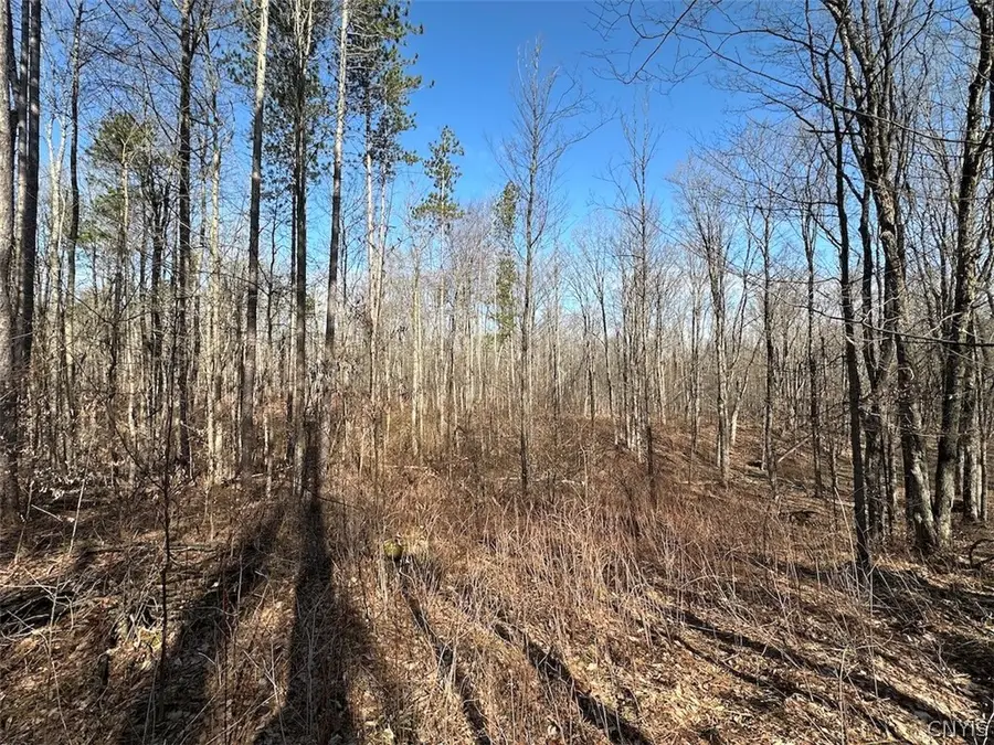 Worden Road, Canaseraga, NY 14822 - #3