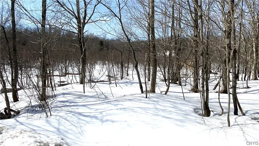 Town Line Road, Lorraine, NY 13659 - #2