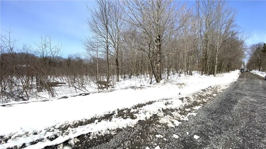 Town Line Road, Lorraine, NY 13659 - #3