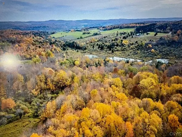 Talbot Road, West Winfield, NY 13491