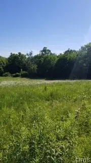 Talbot Road, West Winfield, NY 13491 - #3