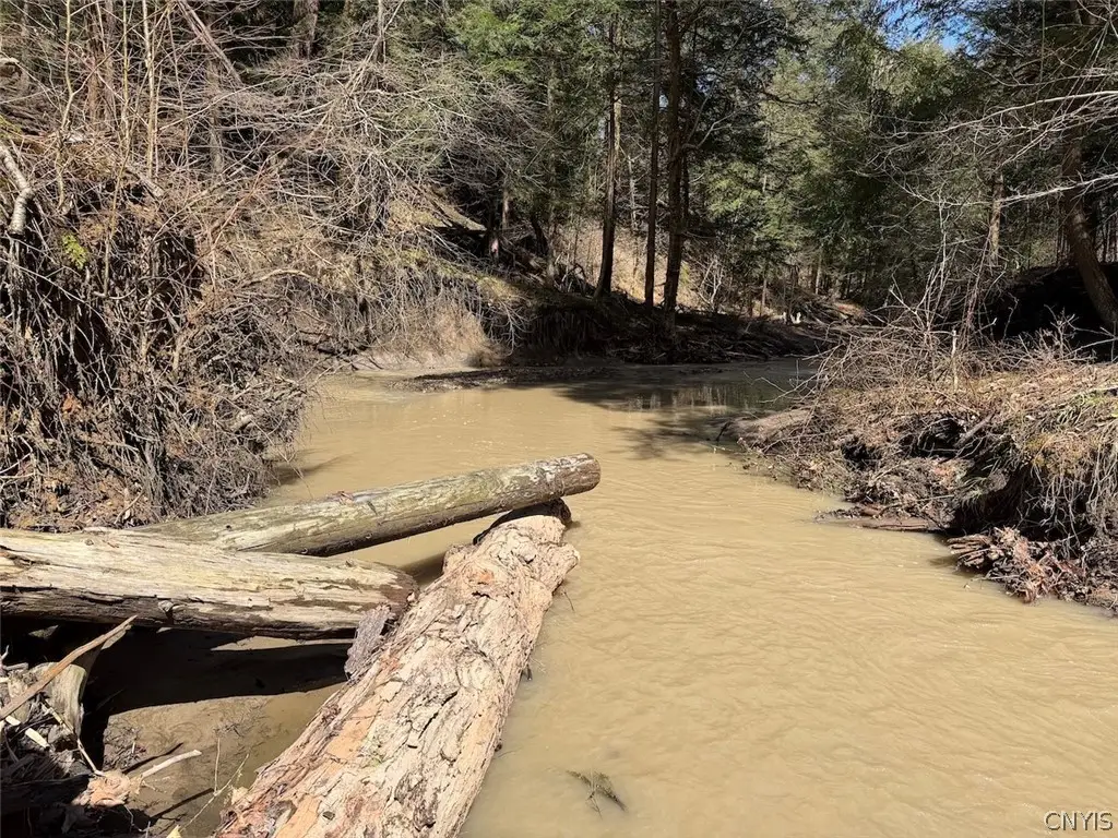 Broadway Road, Gowanda, NY 14070 - #1