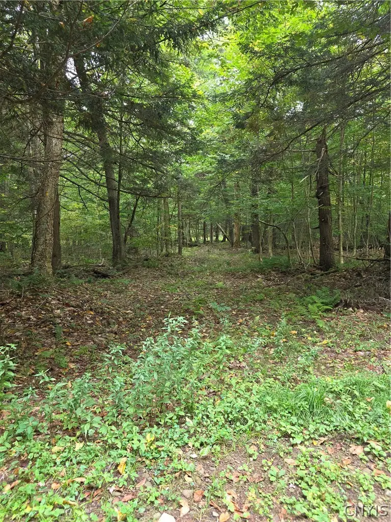 Woodland Drive, Altmar, NY 13302 - #3