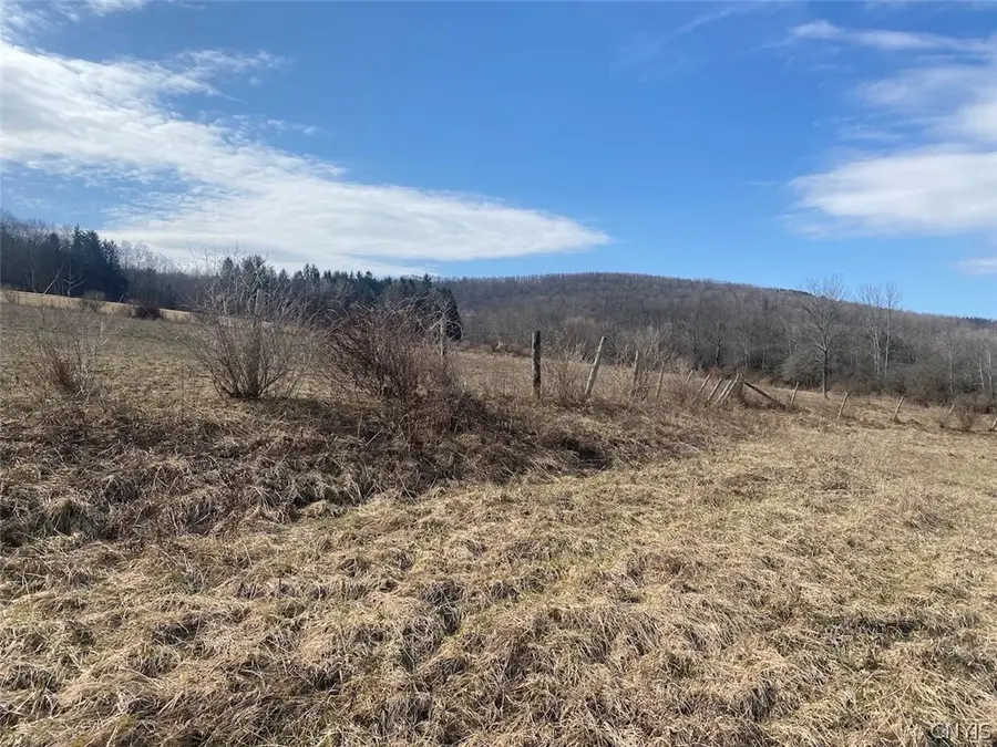 4005 Cr-2, Angelica, NY 14709 - #2