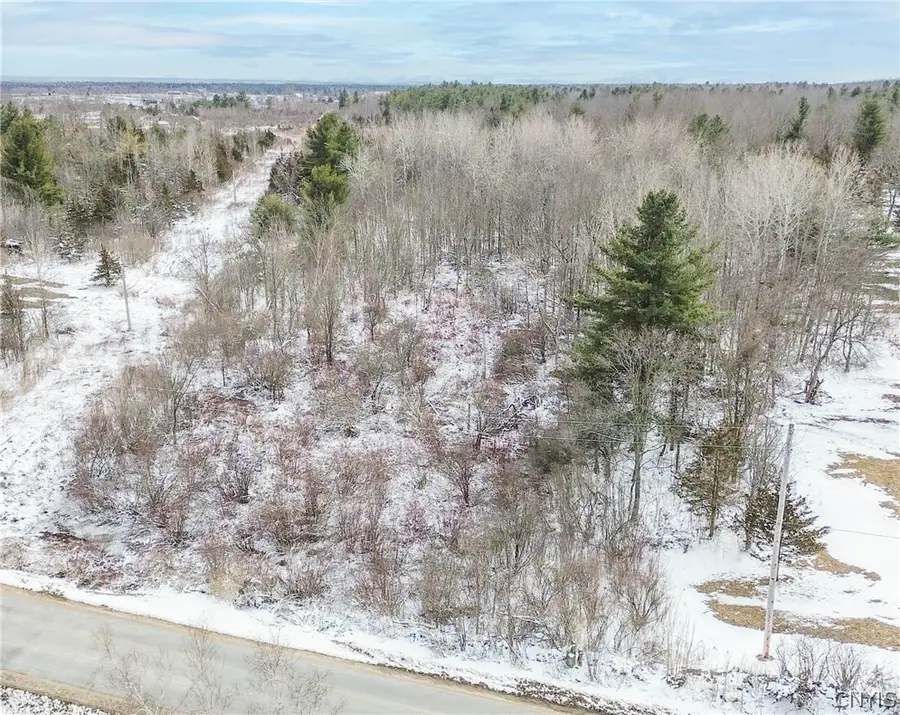 Simpson Road, Theresa, NY 13691 - #2