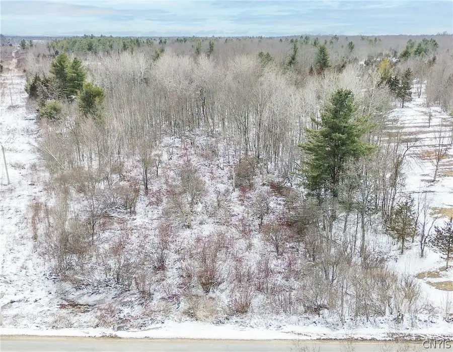 Simpson Road, Theresa, NY 13691 - #3