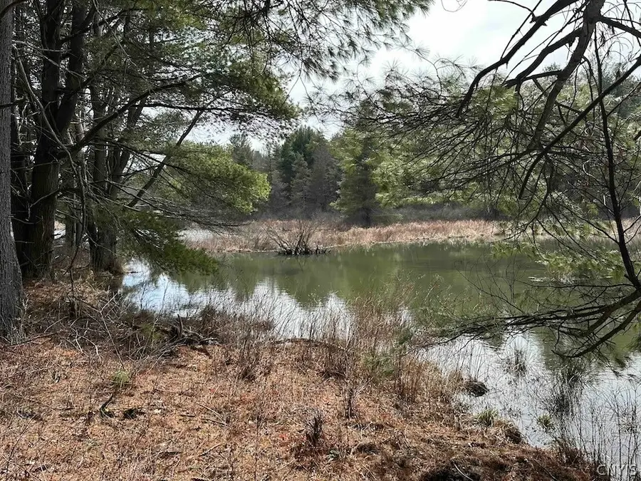 219 Martin Hill Road, Harpursville, NY 13787 - #2