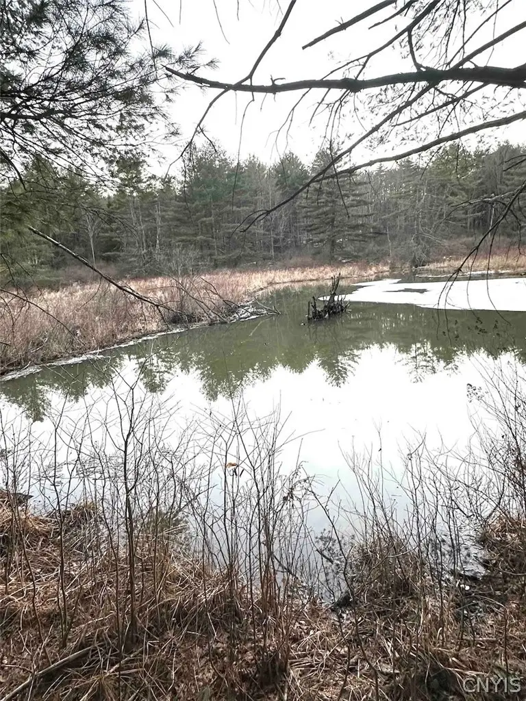 219 Martin Hill Road, Harpursville, NY 13787 - #3