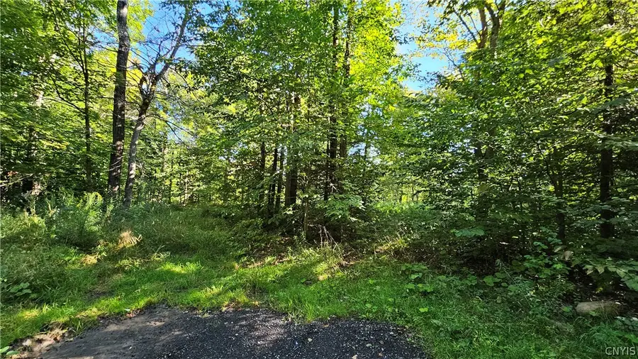 00 Rowsam Road, Martinsburg, NY 13404 - #3