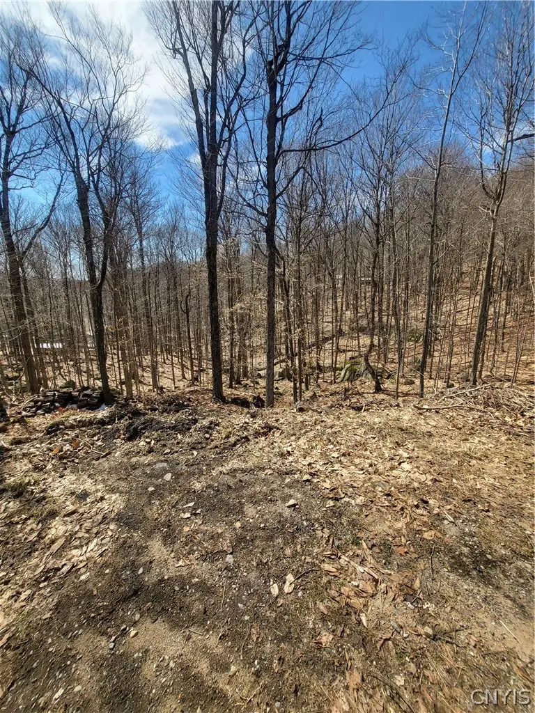 115 Mohawk Drive, Old Forge, NY 13420 - #3