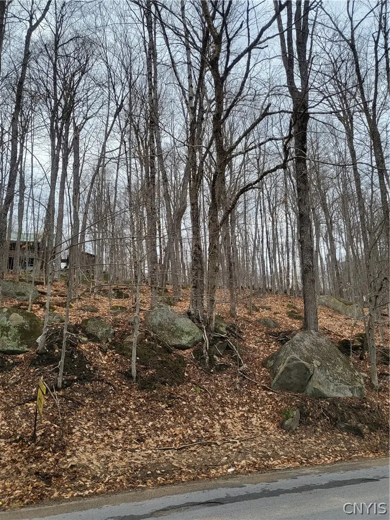 Hollywood Road, Old Forge, NY 13420 - #1