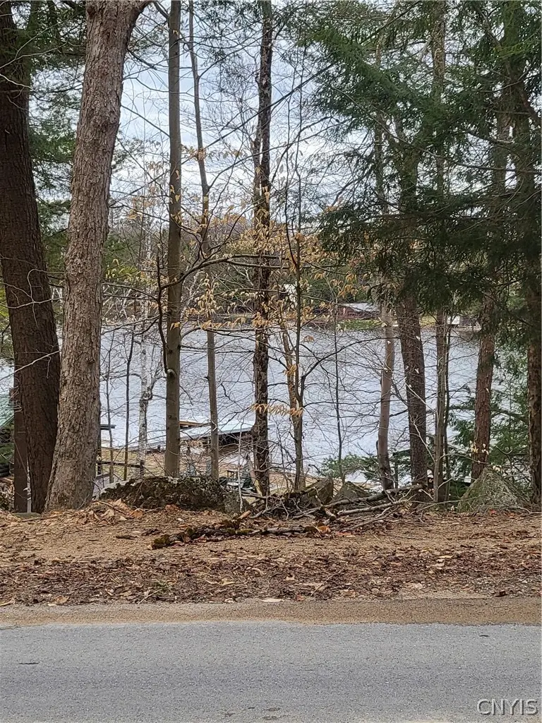 Hollywood Road, Old Forge, NY 13420 - #2