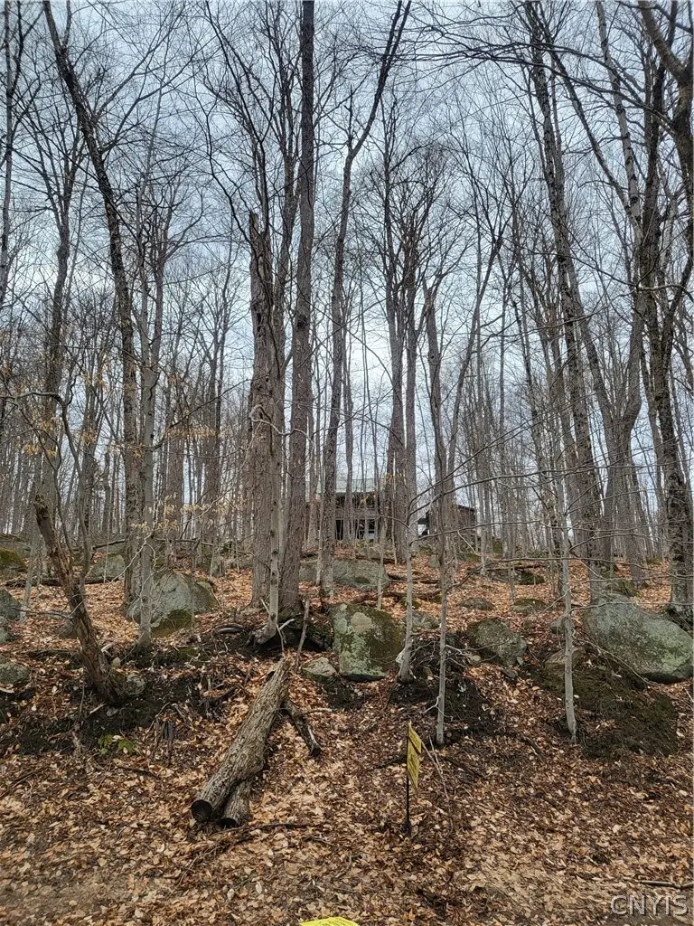 Hollywood Road, Old Forge, NY 13420 - #3