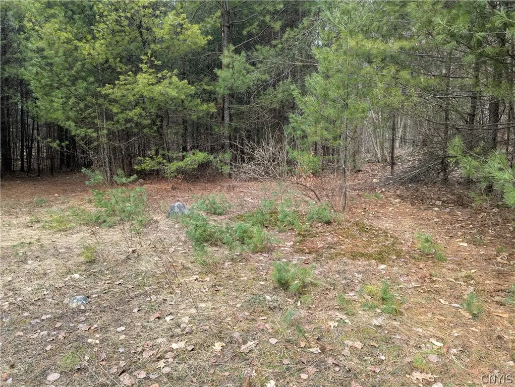 7131 Maple Drive, Glenfield, NY 13343 - #1