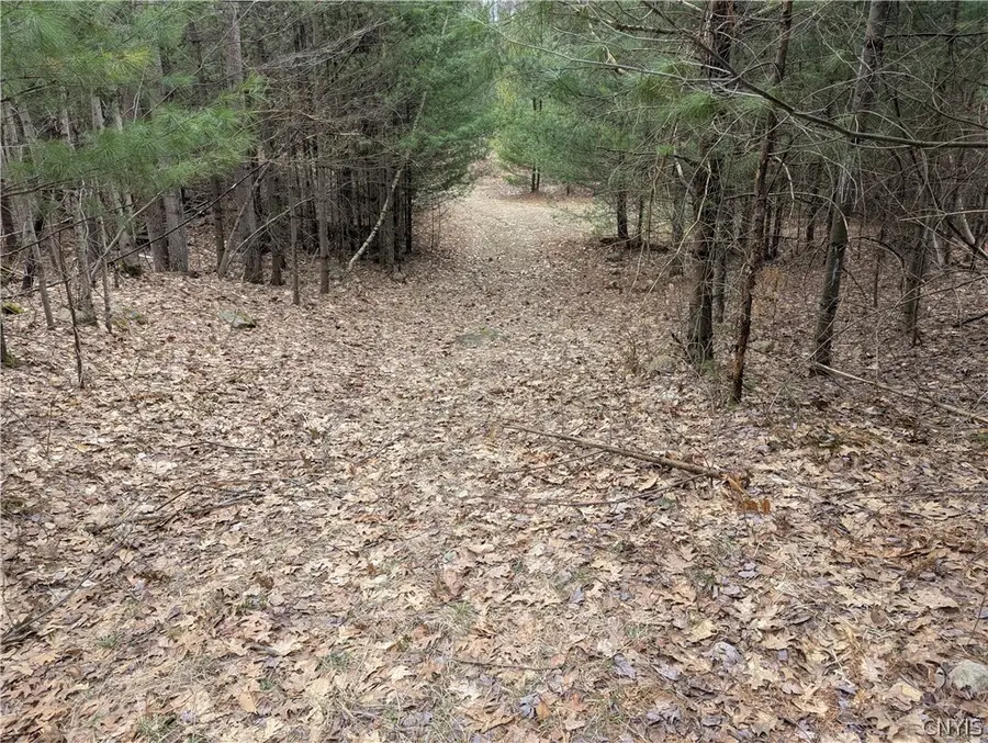 7131 Maple Drive, Glenfield, NY 13343 - #2