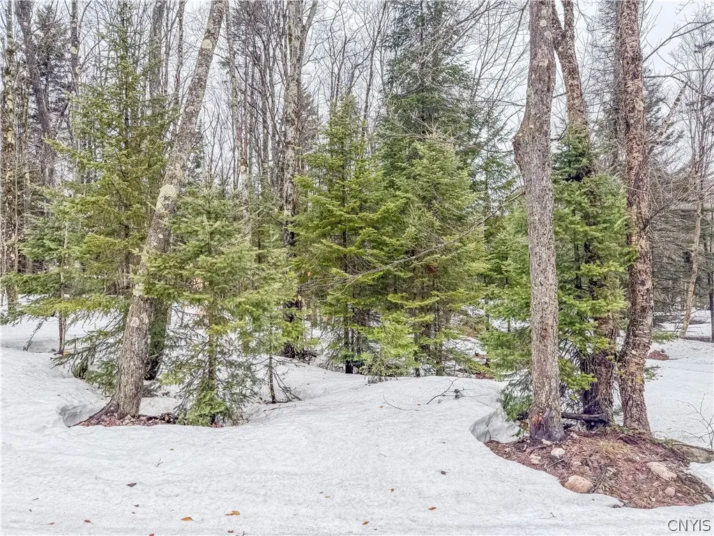 1715 Olin Road, Lowville, NY 13367 - #1