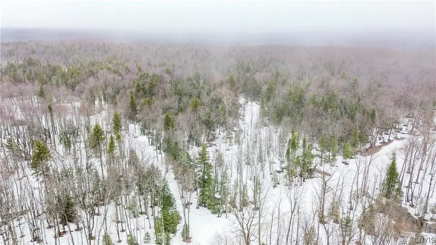 1715 Olin Road, Lowville, NY 13367 - #2