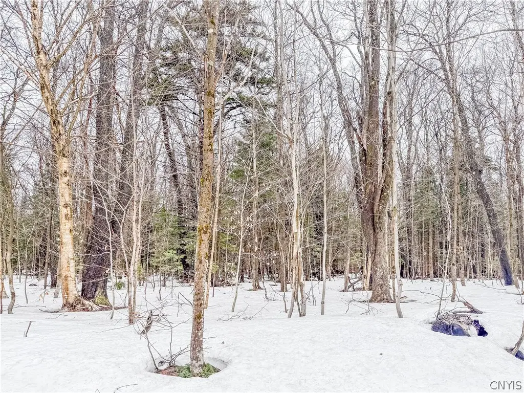 1727 Olin Road, Lowville, NY 13367 - #1