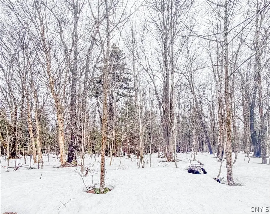 1727 Olin Road, Lowville, NY 13367 - #2