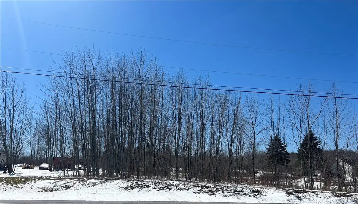 State Route 177, Copenhagen, NY 13626 - #1