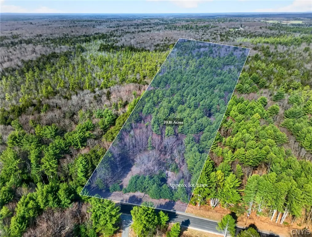 Salt Road, Constantia, NY 13044 - #1