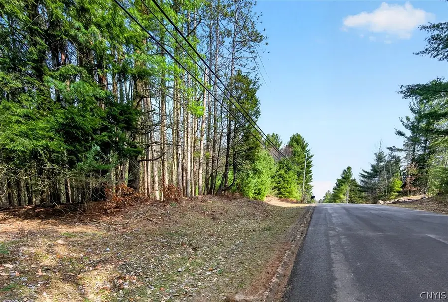 Salt Road, Constantia, NY 13044 - #2