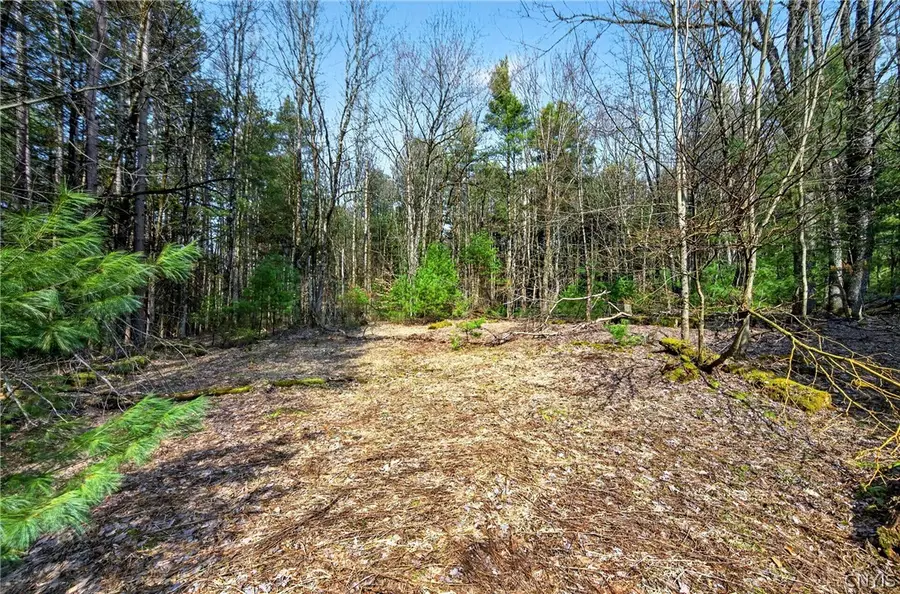 Salt Road, Constantia, NY 13044 - #3