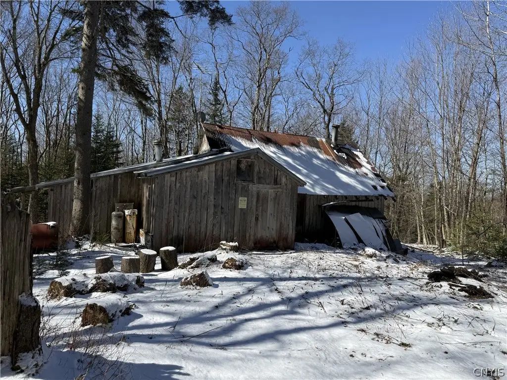 254 California Road, Cold Brook, NY 13324 - #1