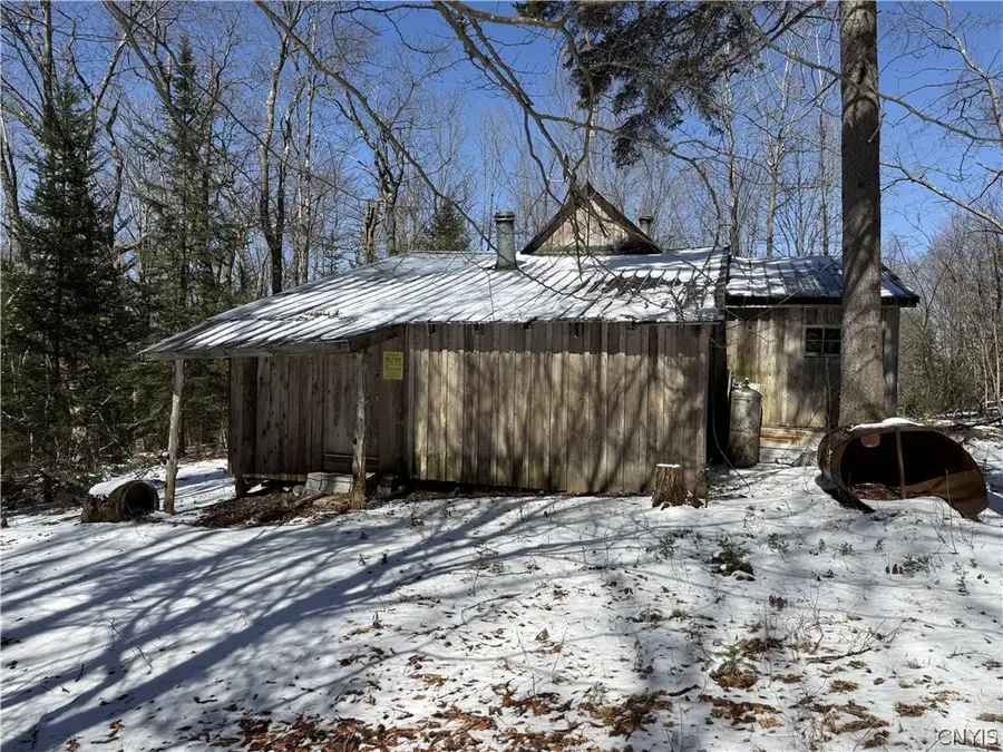 254 California Road, Cold Brook, NY 13324 - #2