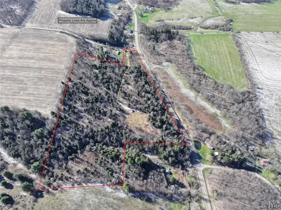 Brainard Road, Ellington, NY 14747 - #3