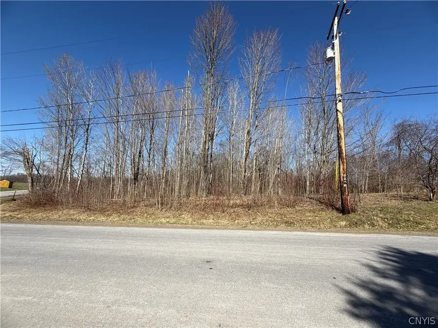 0 Fort Leazier Road, Mexico, NY 13114 - #3