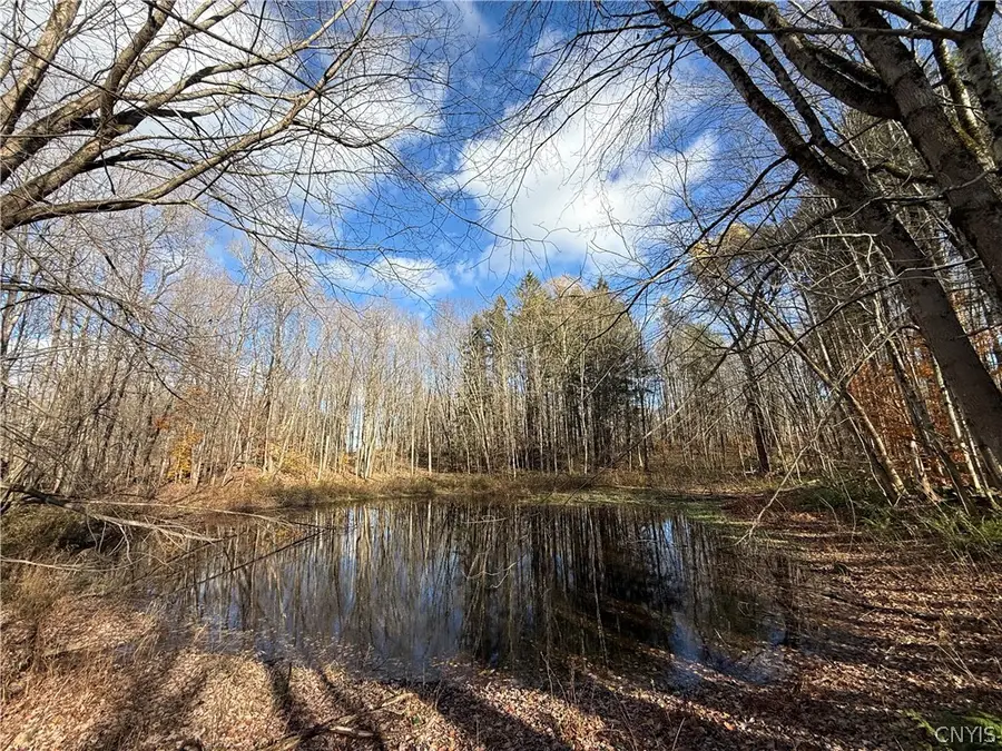 N Railroad Street, Parish, NY 13131 - #2