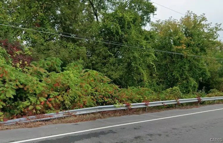 Canton Street, Warners, NY 13164 - #2