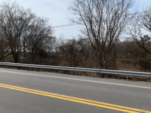 Canton Street, Warners, NY 13164 - #3