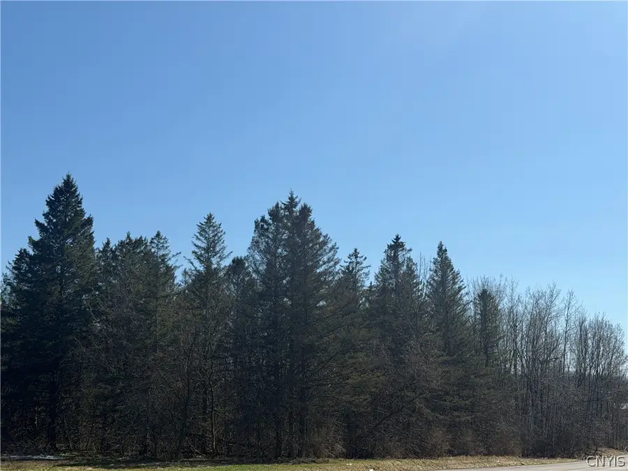 00 Fort Leazier Road, Mexico, NY 13114 - #3