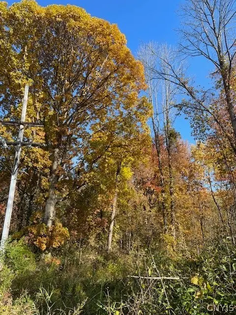 W 11th Street, Fulton, NY 13069