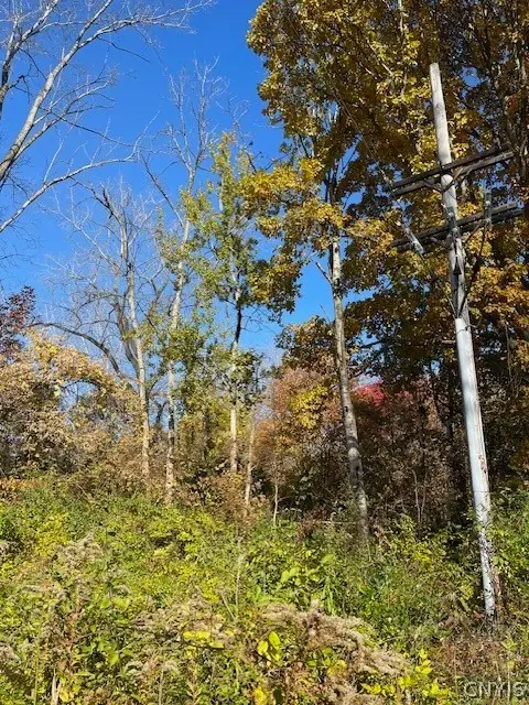 W 11th Street, Fulton, NY 13069 - #3