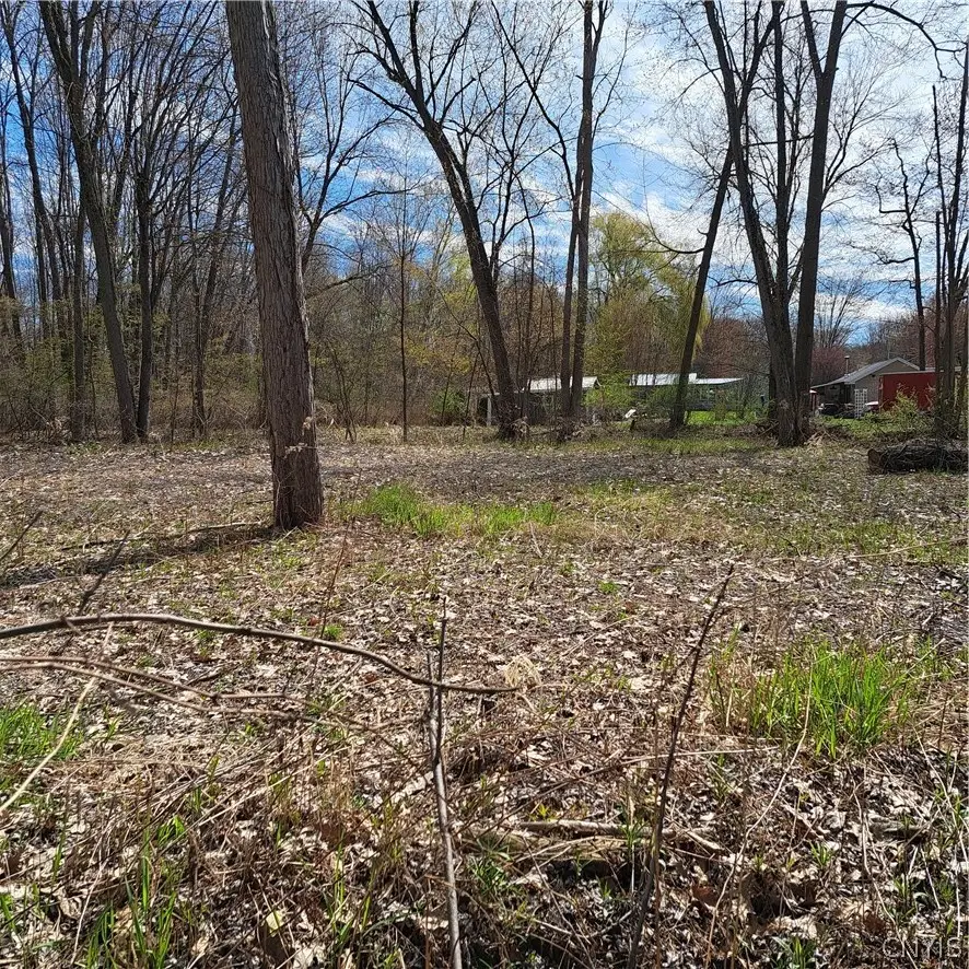 Rt-13, Blossvale, NY 13308 - #2