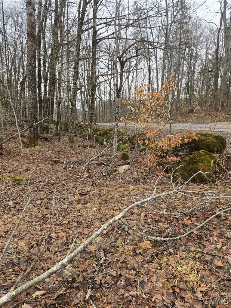 1290 Dairy Hill Road, Newport, NY 13416 - #3