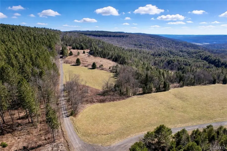 166 Springer Road, Deruyter, NY 13052 - #2