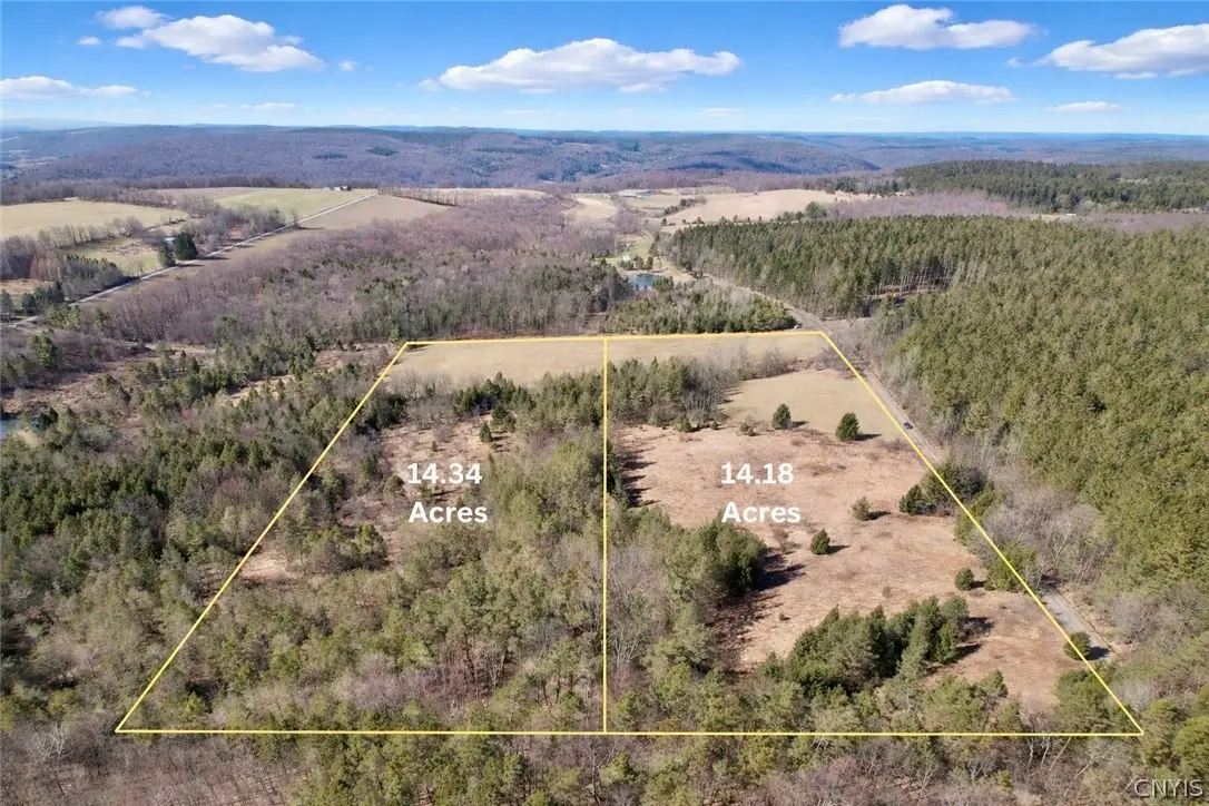 Springer Road, Deruyter, NY 13052 - #1