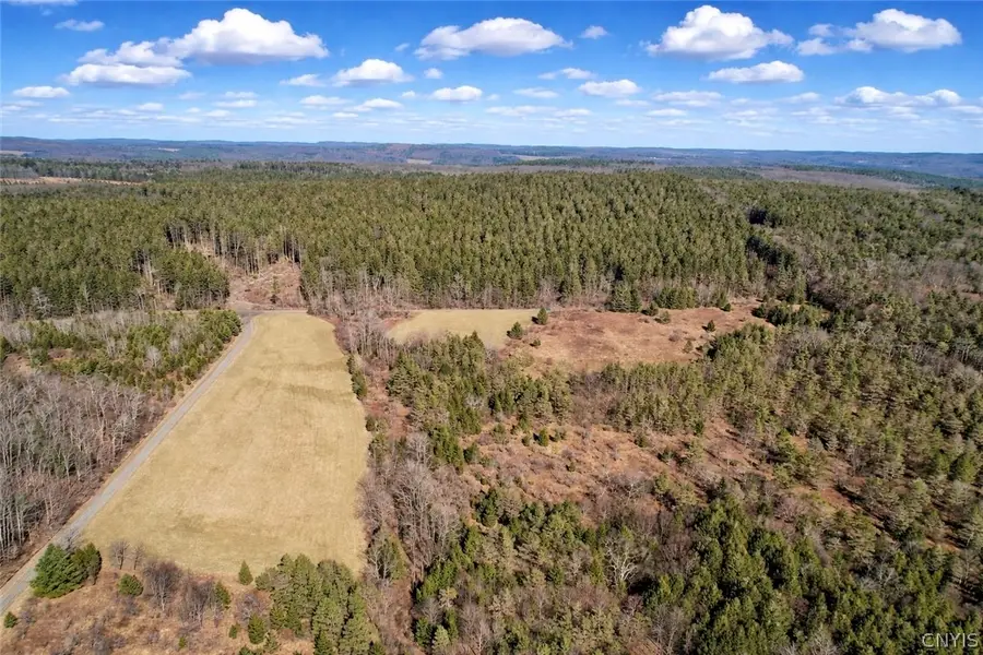 Springer Road, Deruyter, NY 13052 - #3